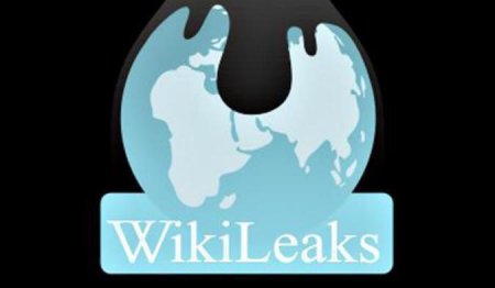  WikiLeaks  25    