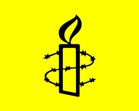 Amnesty International:  2017   23    993 
