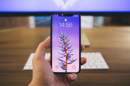 iPhone 2019    OLED-.  