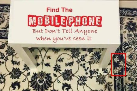 Коварная загадка о мобильнике на ковре свела Сеть с ума
