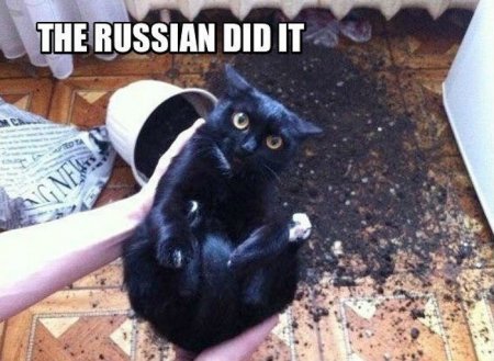 #RussiansDidIt:     