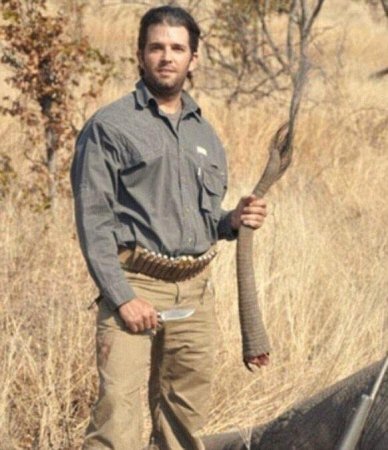 Picstory: Зачем Дональд Трамп отрезал слону хвост?