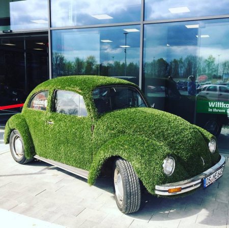 80- Volkswagen:   