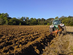 Новости Украины: бывшие участники АТО "нашли" себя в фермерстве