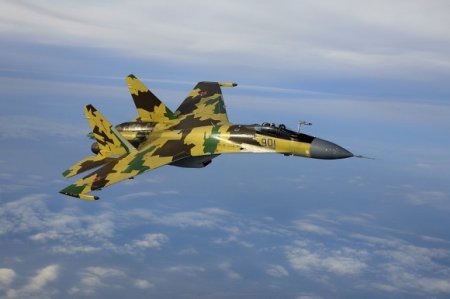 Россия обменяет новейшие боевые самолеты на пальмовое масло из Индонезии