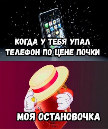     :    iPhone 8   