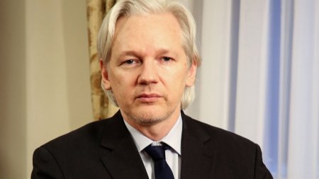 : WikiLeaks      