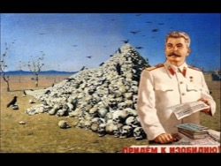 Целесообразность революции