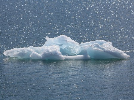 Финский залив покрылся ледяными шариками (фото)