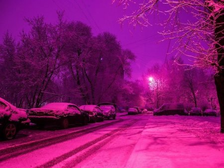 Синоптики: Высота снежного покрова в Москве значительно меньше нормы