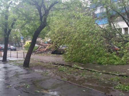 Ураган на Урале оставил без света 33 тыс. жителей и сорвал крыши с домов (фото)