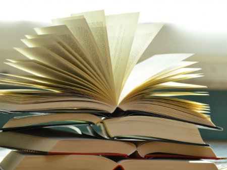 Социолог составил рейтинг излюбленных книг петербуржцев, которые ходят в библиотеку