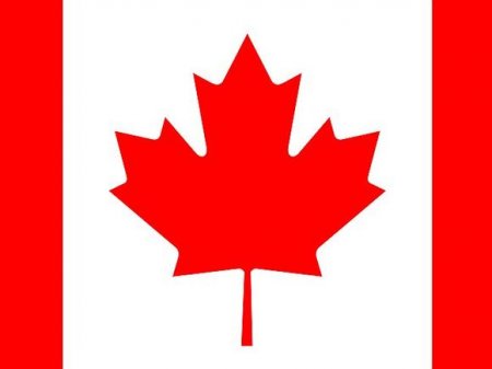           G8