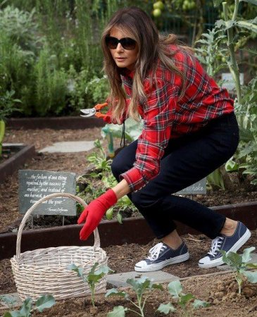 Фото Меланьи Трамп в саду Белого дома высмеяли в Интернете