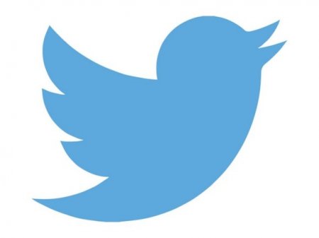      250    Twitter