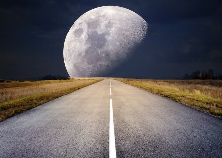 Далеко ли нам до Луны: когда появится первая лунная база