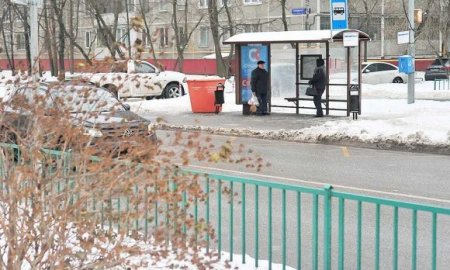 Высота снежного покрова в Москве упала до 31 см