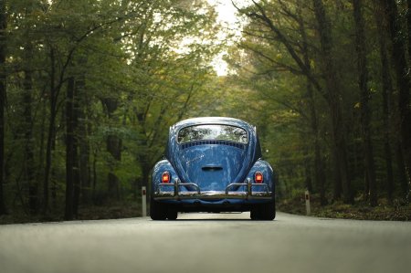 Volkswagen Beetle     80   