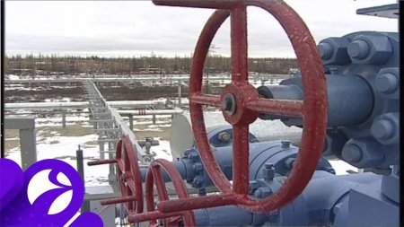«Транснефть» будет закупать газ и технику на газомоторном топливе у «НОВАТЭКа»