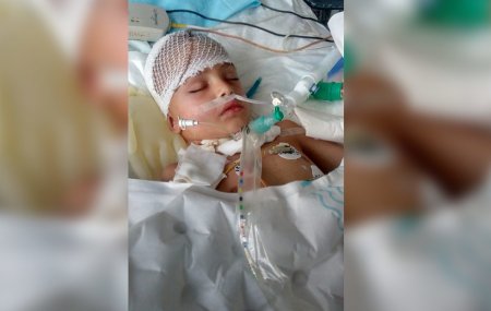 Мама мальчика с простреленной головой обратилась с последней надеждой к Рошалю