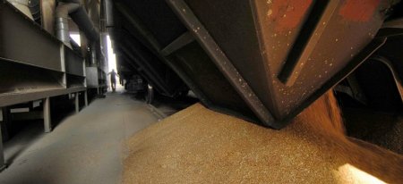 Великобритания наращивает импорт пшеницы из Германии