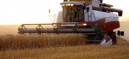 В 2019-20 МГ урожай зерна в России вырастет до 114,2 млн. тонн