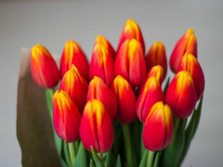 Россиян предупредили о вероятном подорожании цветов к 8 марта