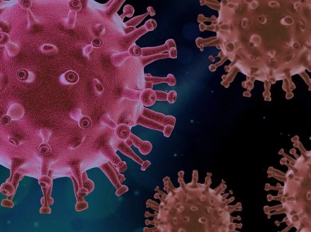 Число зараженных коронавирусом в США превысило 780 тысяч человек