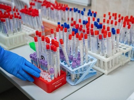 Центр вирусологии «Вектор» начал второй этап испытаний вакцины против COVID-19