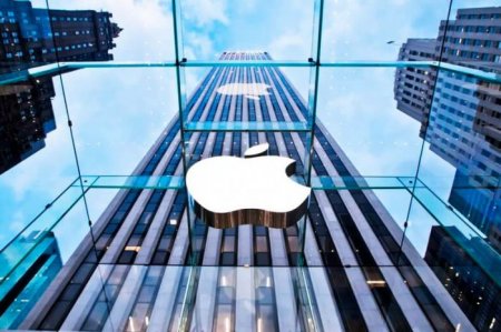 Apple     100   