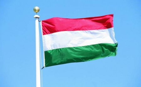 Hungary Today:             