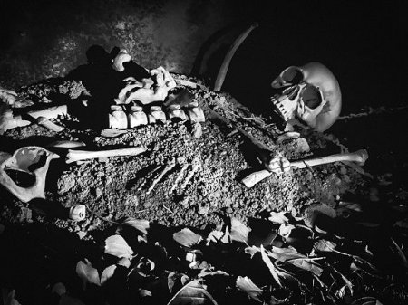 Накрытую одеялом мумию с проломленным черепом нашли в подвале в Ленобласти