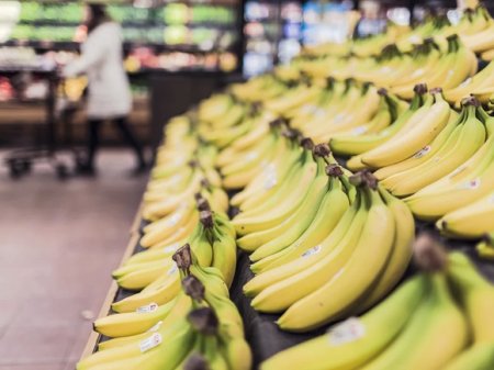 В Чехии в магазины вместе с бананами доставили 840 кг кокаина