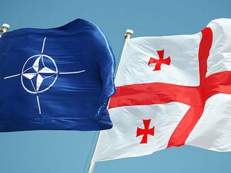 НАТО присвоило Грузии статус партнера в операции в Средиземноморье