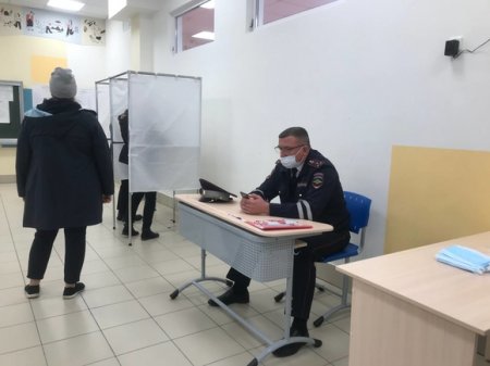Петербургские эсеры направили в ЦИК жалобы на нарушения в ходе муниципальных выборов