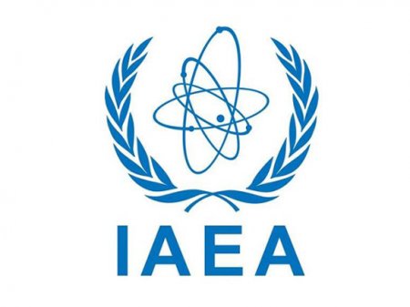 МАГАТЭ направит инспекции в Чернобыль и на действующие АЭС Украины