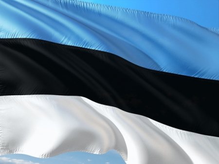 Эстония выделила Украине военную помощь почти на 400 млн евро