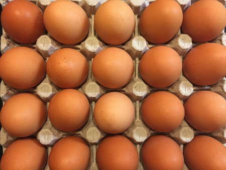 Диетолог: Куриные яйца помогают пожилым людям поддержать мышечную массу и укрепить иммунитет